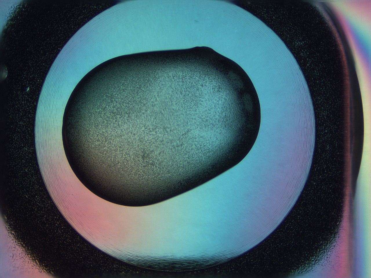 0588_F5_ImagerDefaults_3.jpg