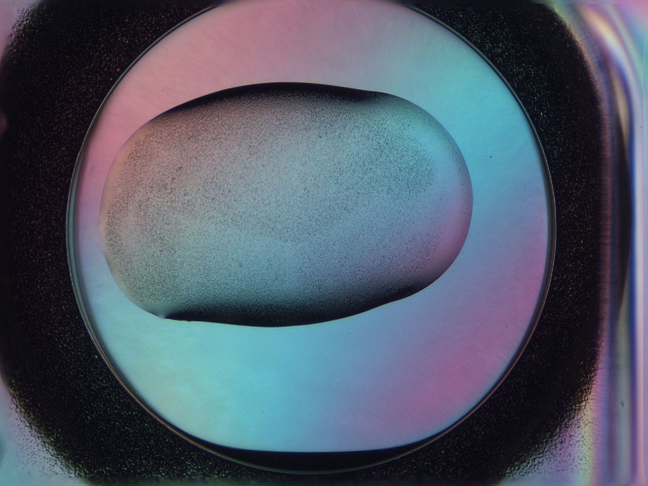 0588_F7_ImagerDefaults_2.jpg