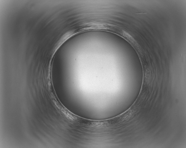 X0000055061378200508161634.png