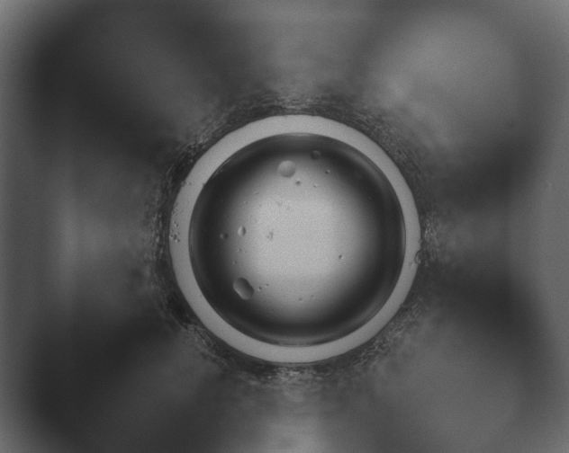 X0000047500752200503161513.png