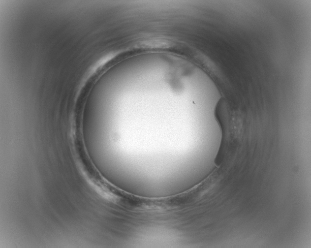 X0000054330726200508111918.png