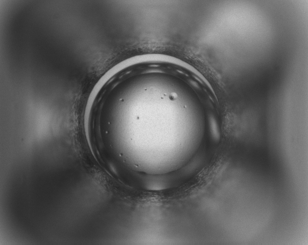 X0000045450259200502011704.png