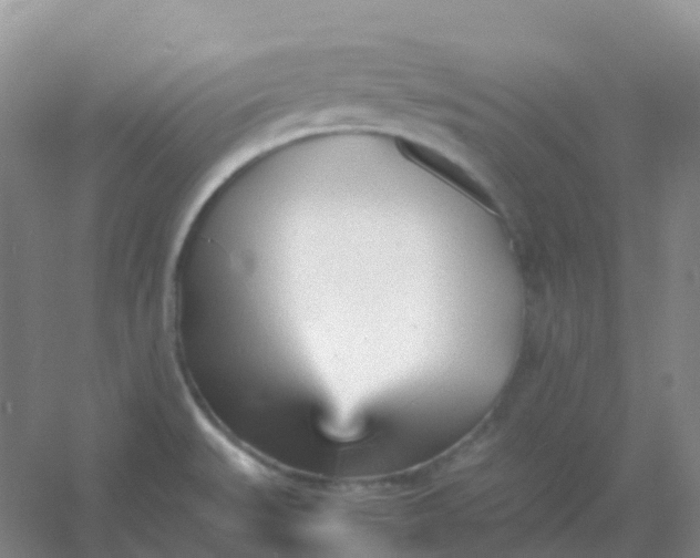X0000054331527200508111905.png