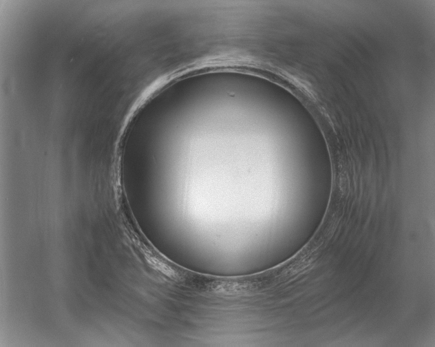 X0000055061366200508161634.png