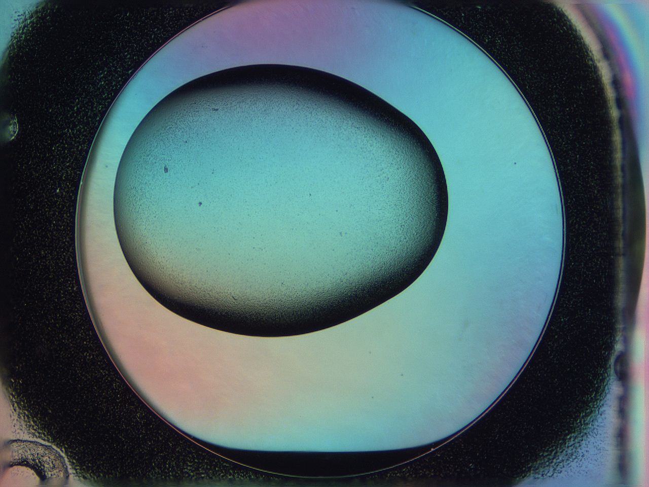0588_F12_ImagerDefaults_1.jpg