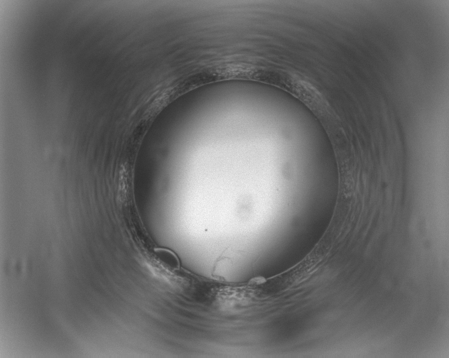 X0000055060077200508161657.png