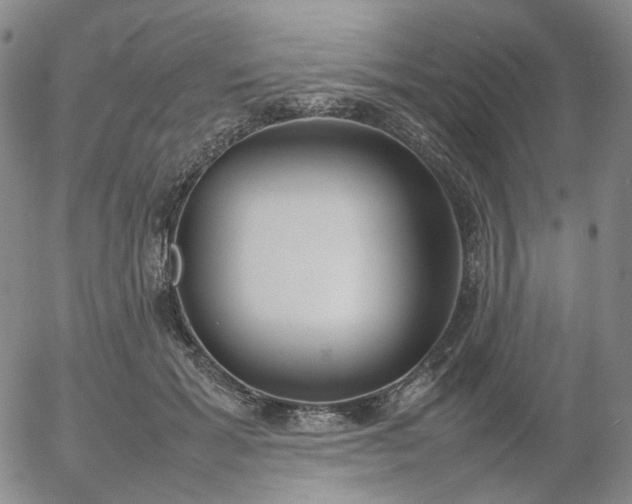 X0000054650605200508091643.png