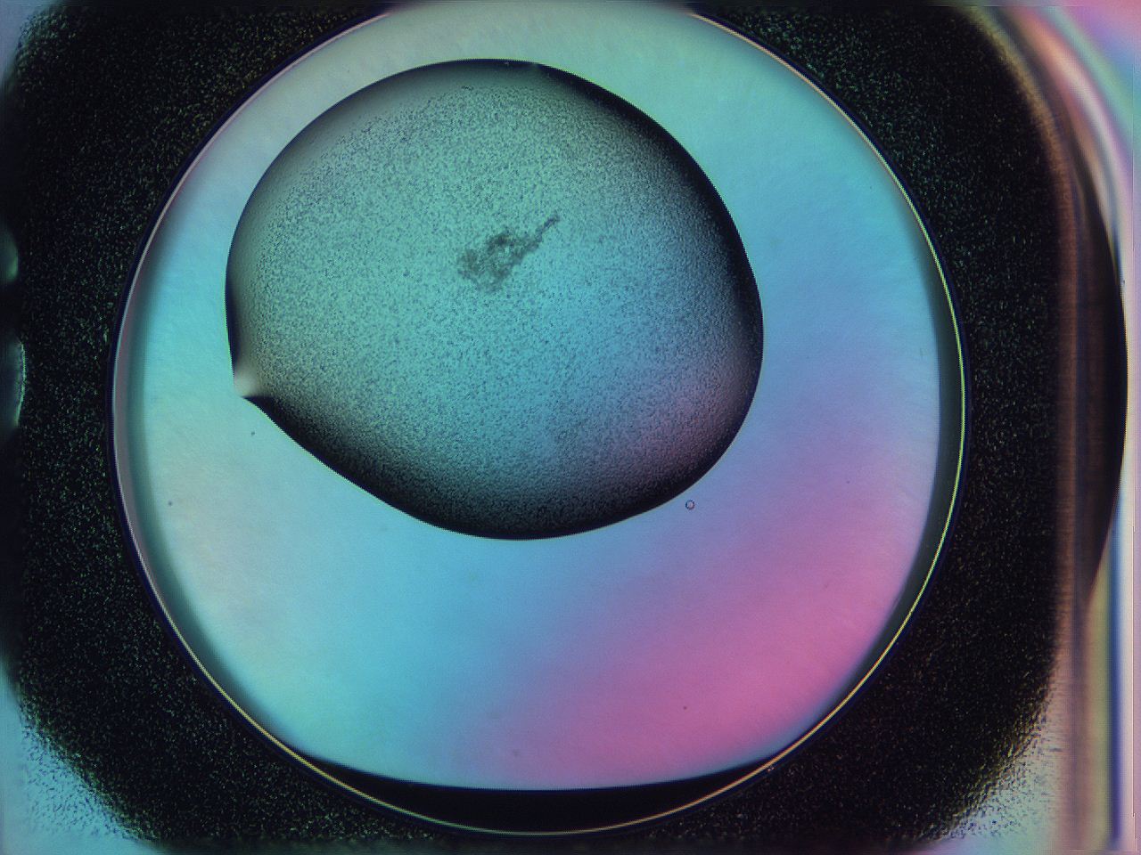 0588_G4_ImagerDefaults_2.jpg