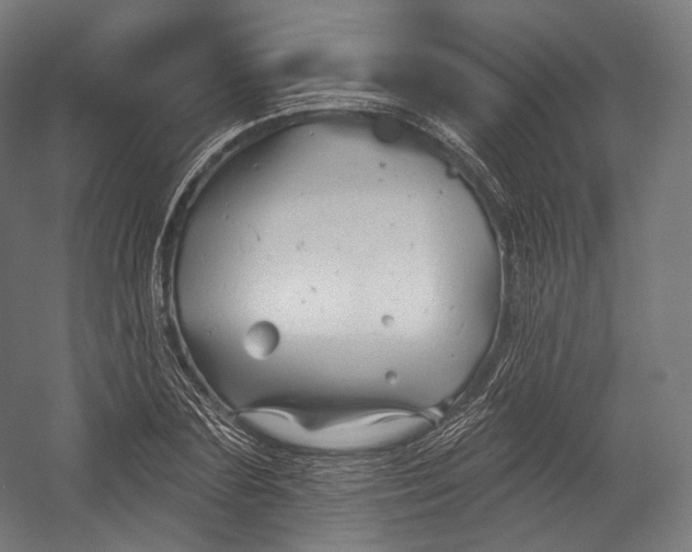 X0000055210883200508301319.png