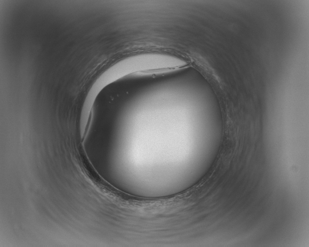 X0000055210021200508301333.png