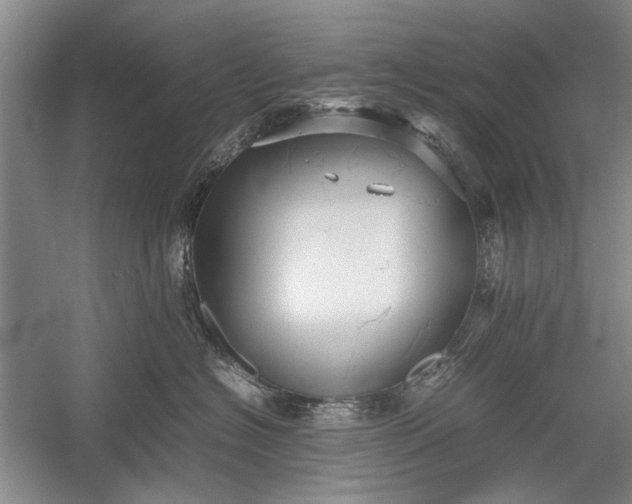 X0000055060574200508161649.png