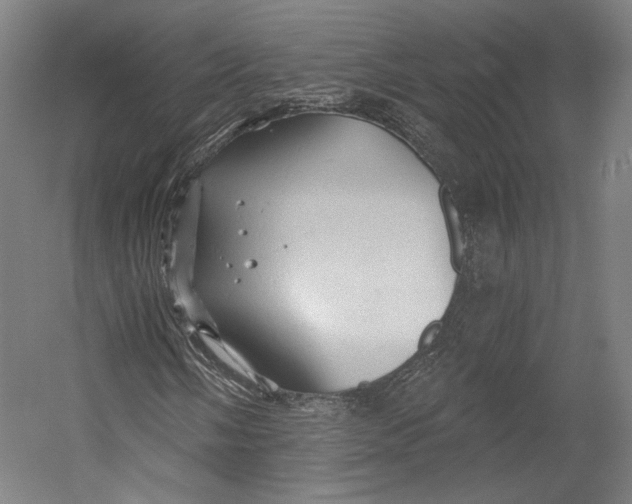 X0000055211058200508301316.png