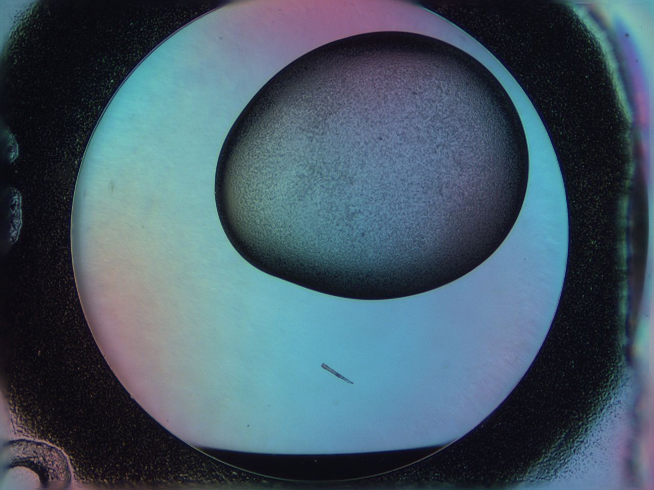 0588_G12_ImagerDefaults_2.jpg