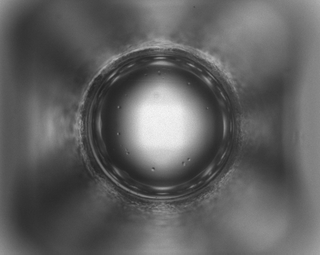 X0000046381318200502141034.png