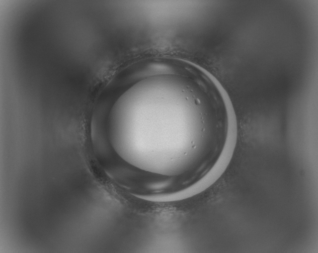 X0000054930642200508291633.png
