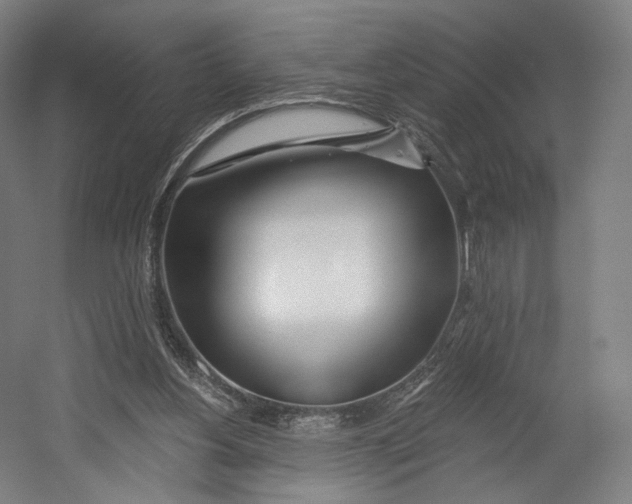 X0000055210156200508301331.png