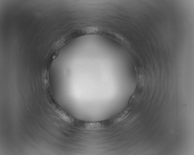 X0000055210525200508301325.png