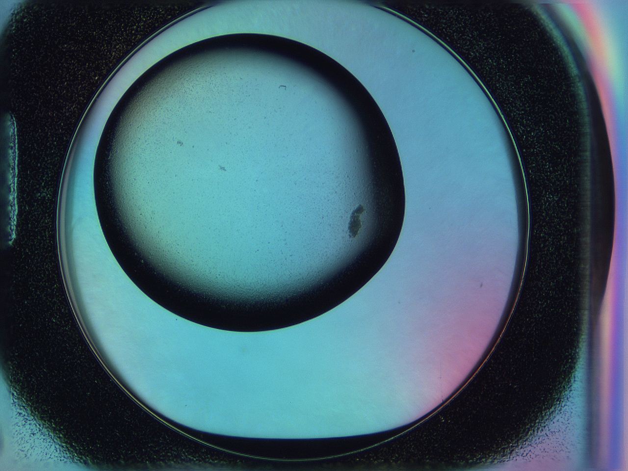0588_H6_ImagerDefaults_2.jpg