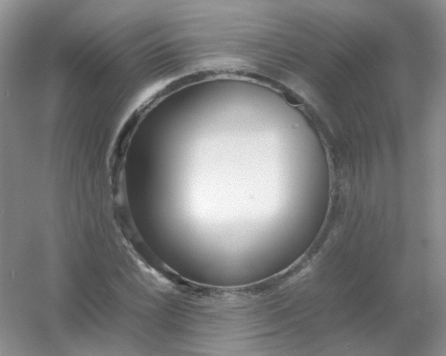X0000054331022200508111913.png