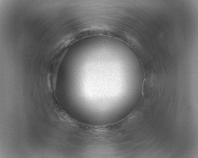 X0000054331110200508111911.png