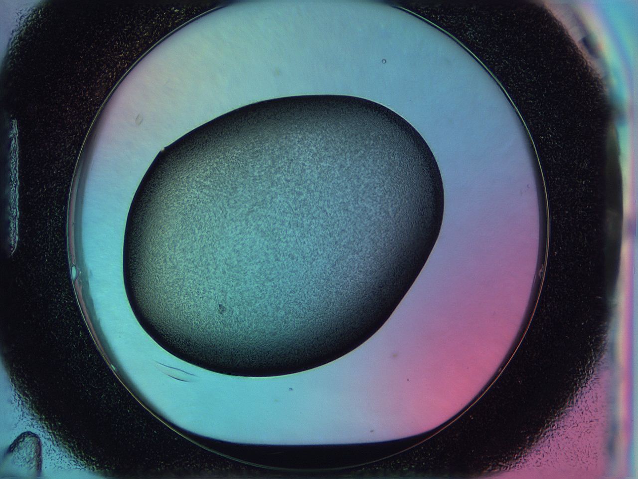 0588_H11_ImagerDefaults_3.jpg