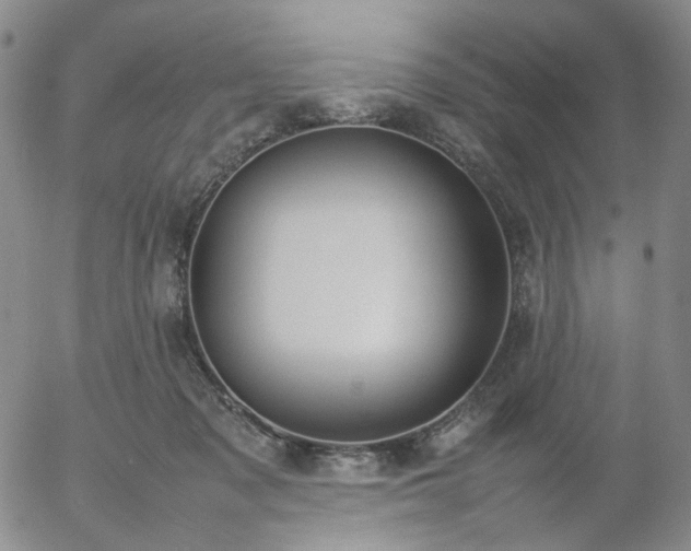 X0000054650317200508091648.png