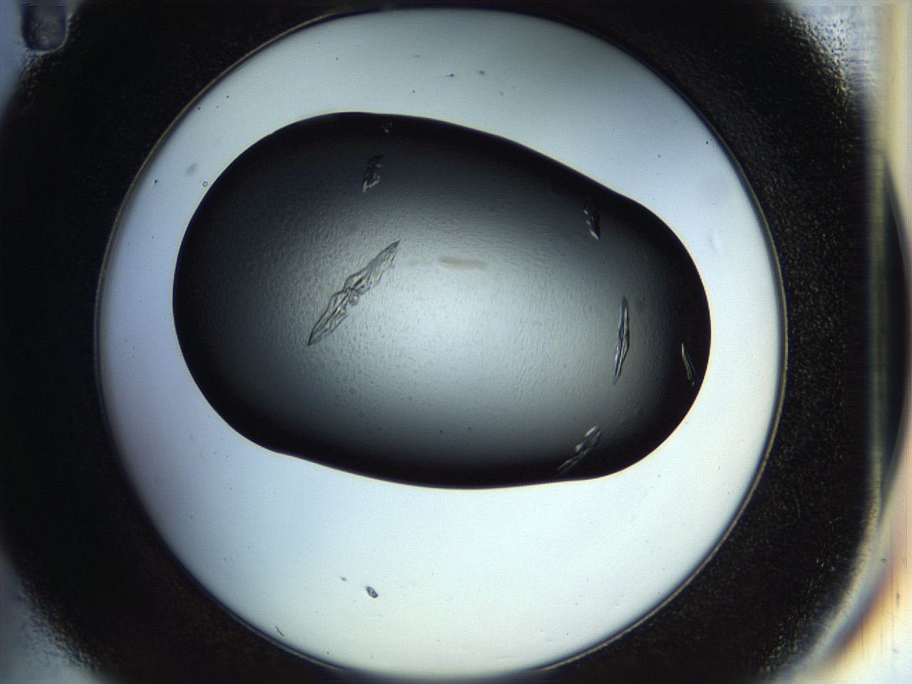 058k_C11_ImagerDefaults_9.jpg