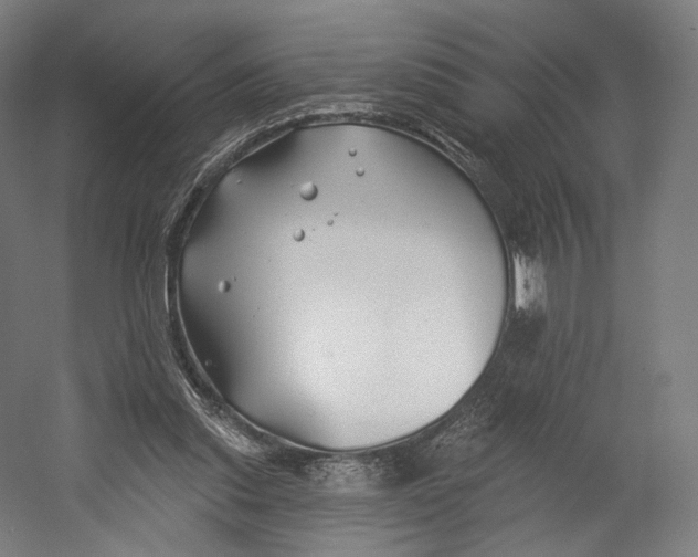 X0000055210253200508301329.png