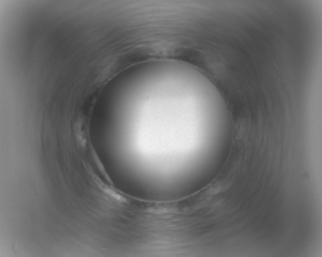X0000054331202200508111910.png