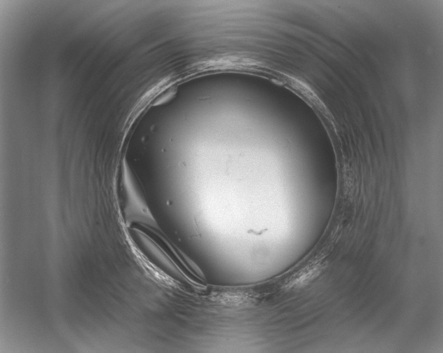 X0000055060946200508161642.png