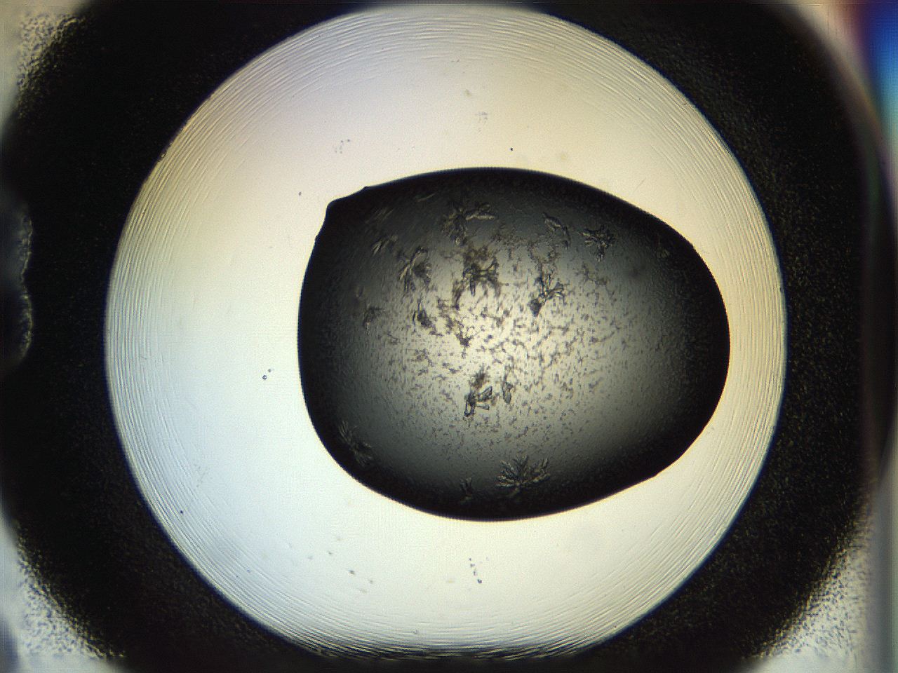 058k_B8_ImagerDefaults_7.jpg