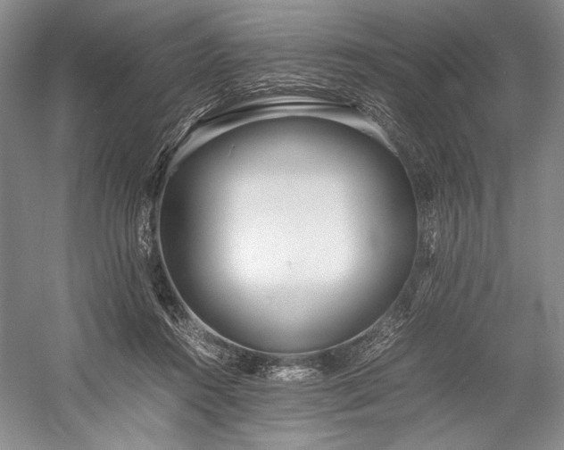 X0000055060360200508161652.png