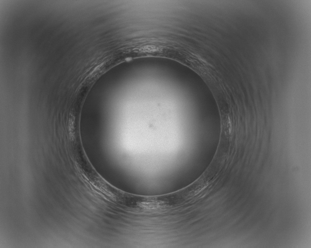 X0000055210556200508301324.png