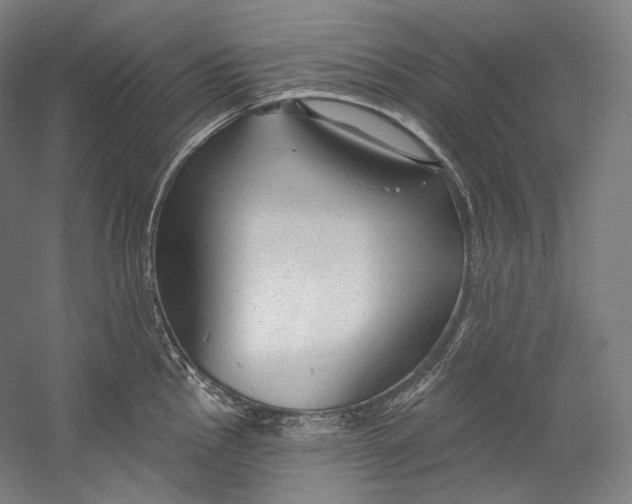 X0000055211145200508301315.png