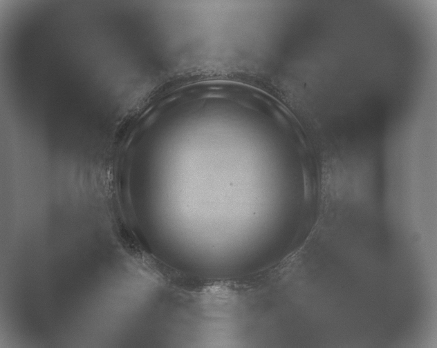 X0000052280167200507132038.png