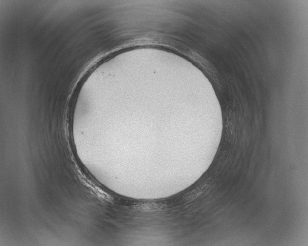 X0000055210950200508301318.png