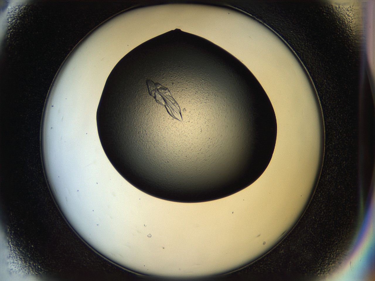 058k_D8_ImagerDefaults_9.jpg