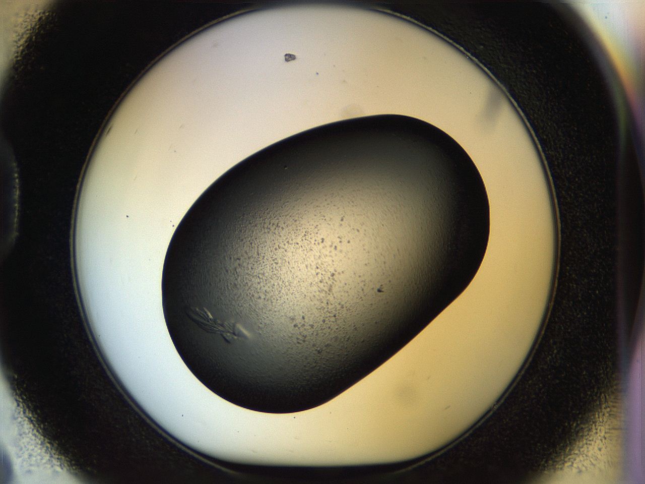 058k_D8_ImagerDefaults_7.jpg