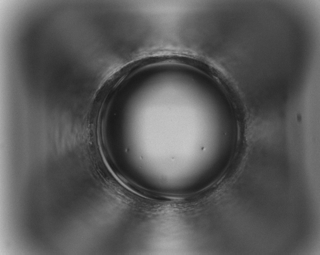 X0000044161259200501030843.png
