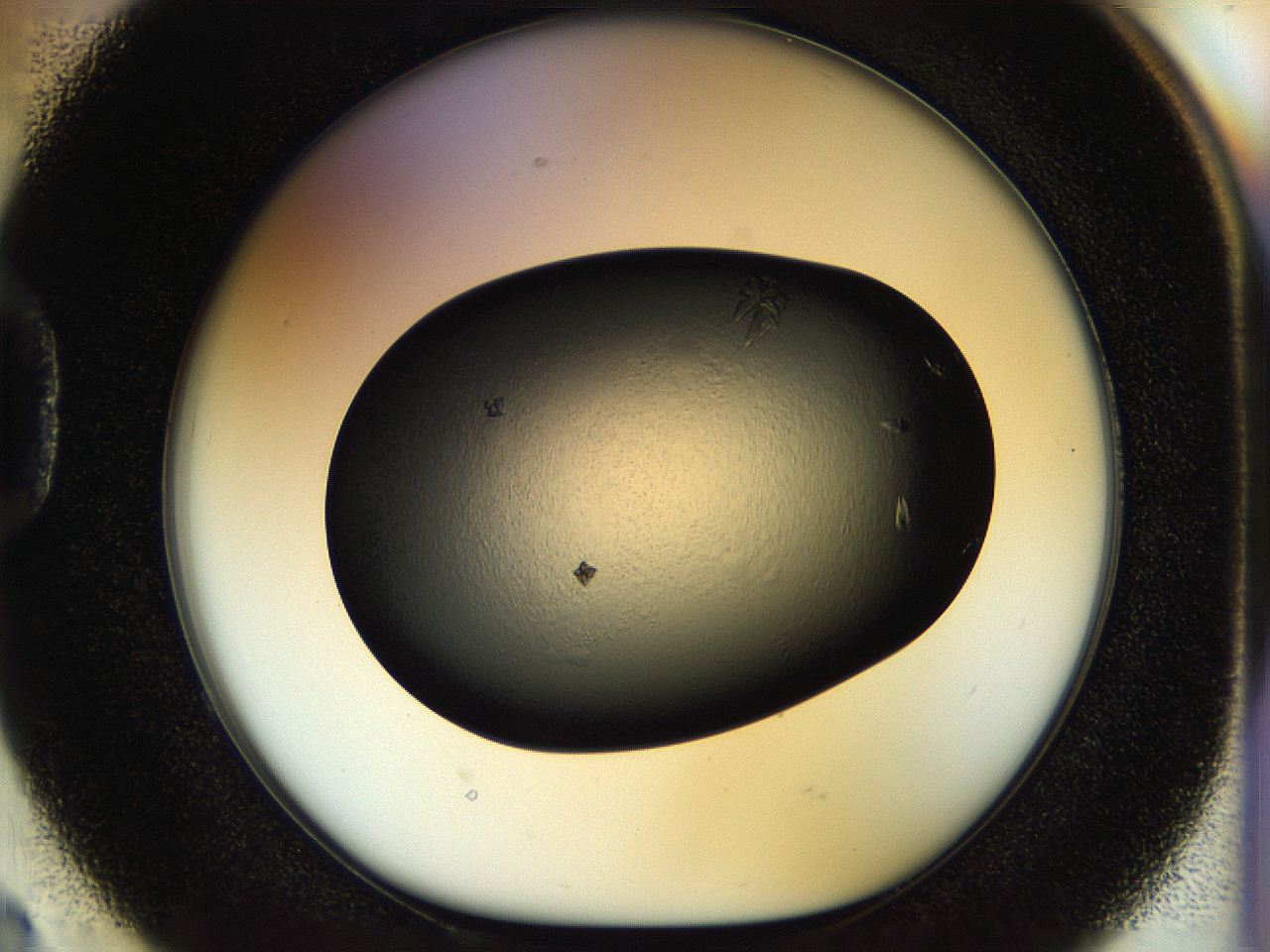 058k_D2_ImagerDefaults_9.jpg