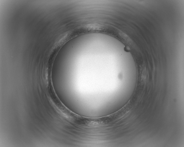 X0000054330494200508111923.png