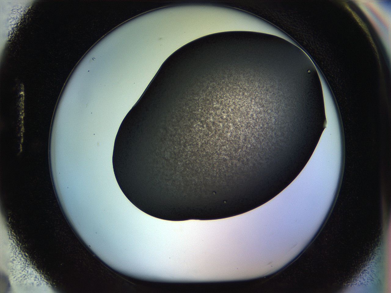 058k_H4_ImagerDefaults_7.jpg