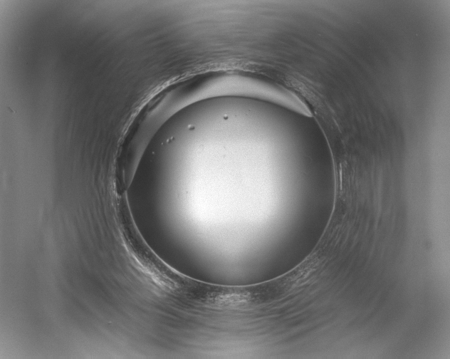 X0000055060156200508161655.png