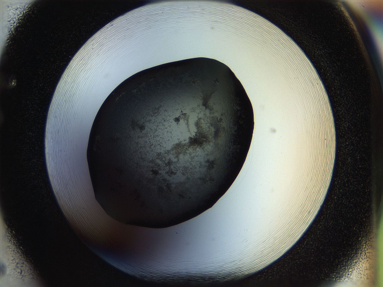 058k_F5_ImagerDefaults_7.jpg
