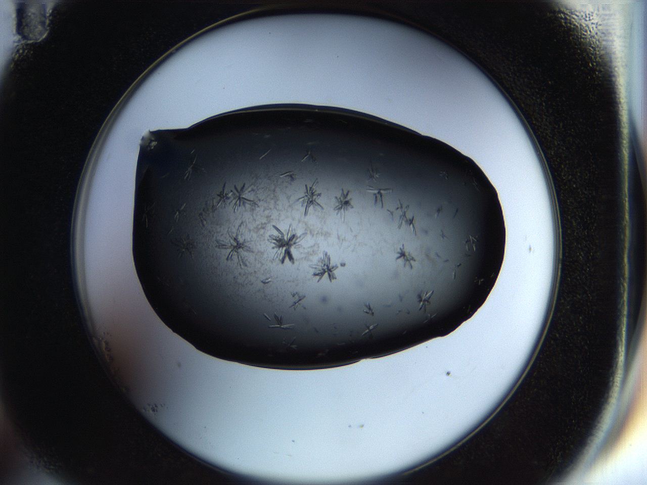 058l_B11_ImagerDefaults_7.jpg