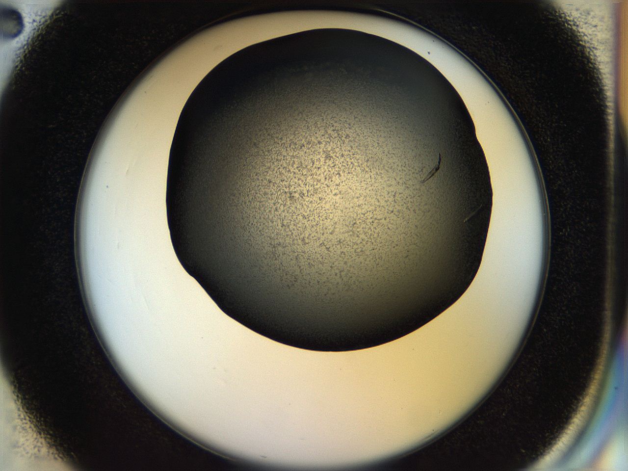 058l_C2_ImagerDefaults_9.jpg