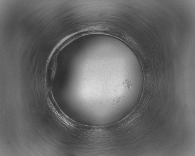 X0000055210784200508301320.png