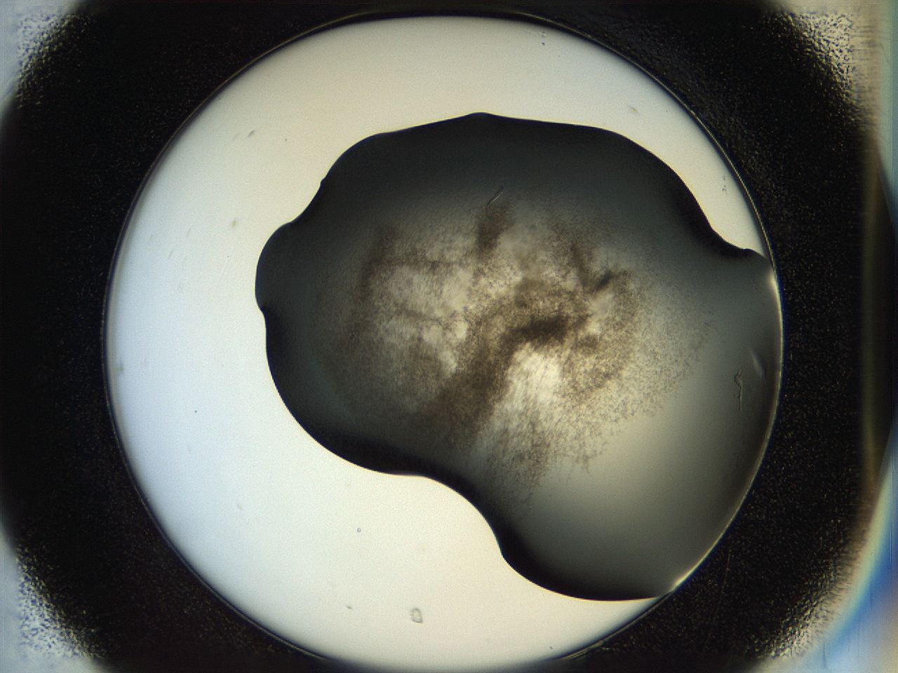 058l_C7_ImagerDefaults_7.jpg