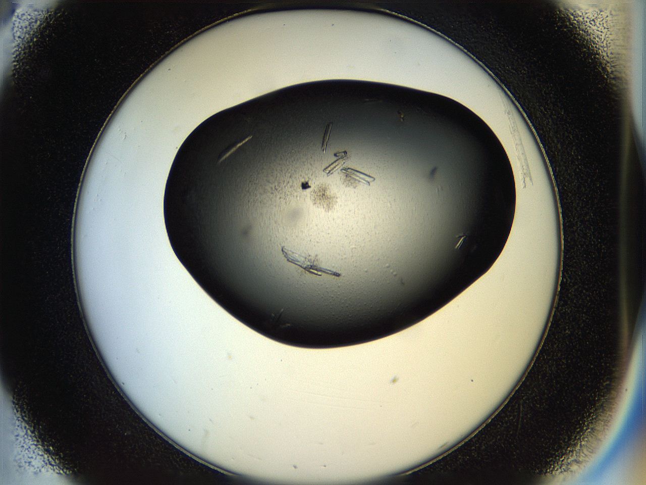 058l_C8_ImagerDefaults_9.jpg