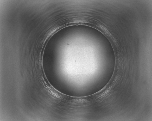 X0000055061129200508161638.png
